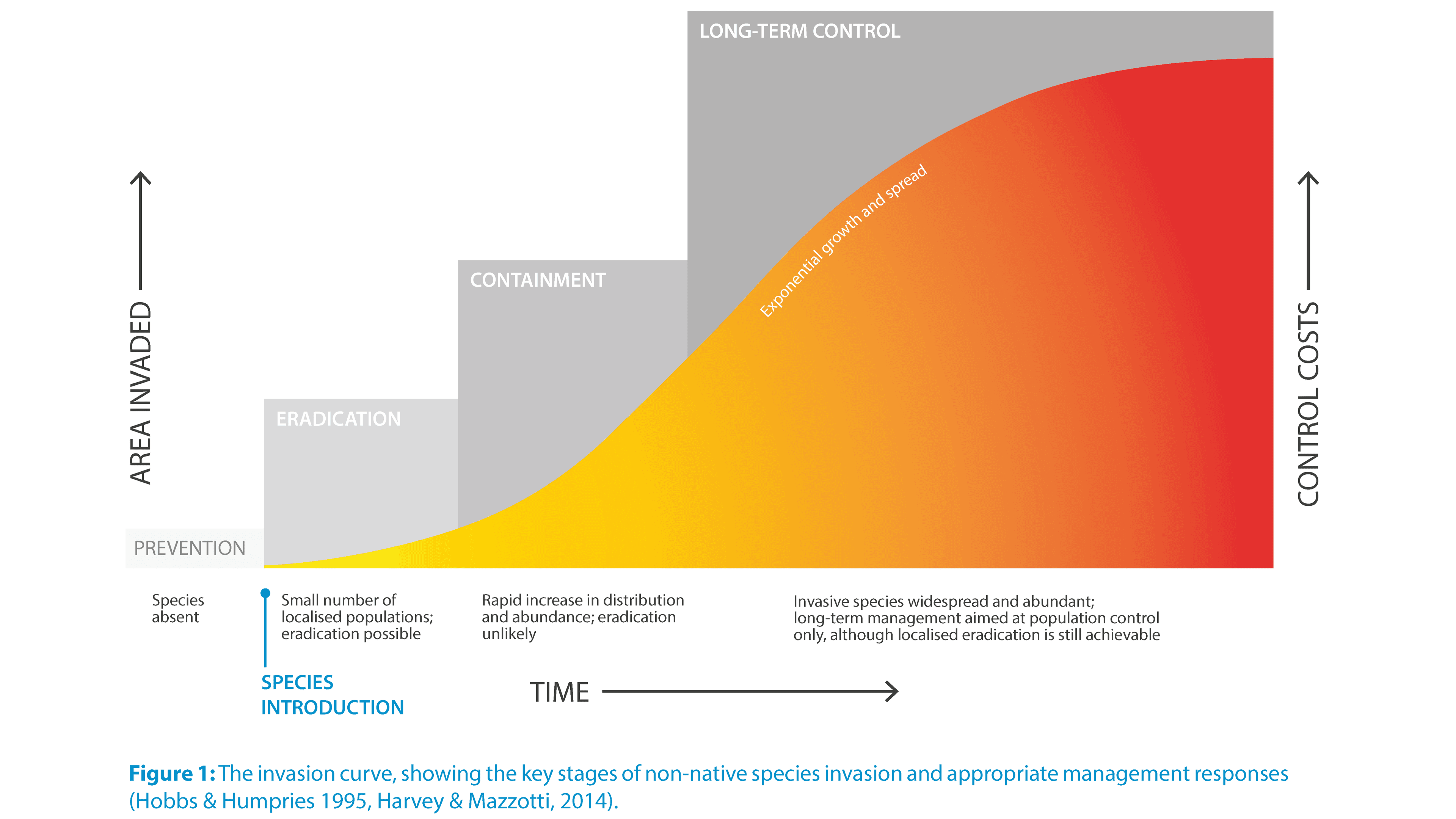 Invasion Curve Management Stages