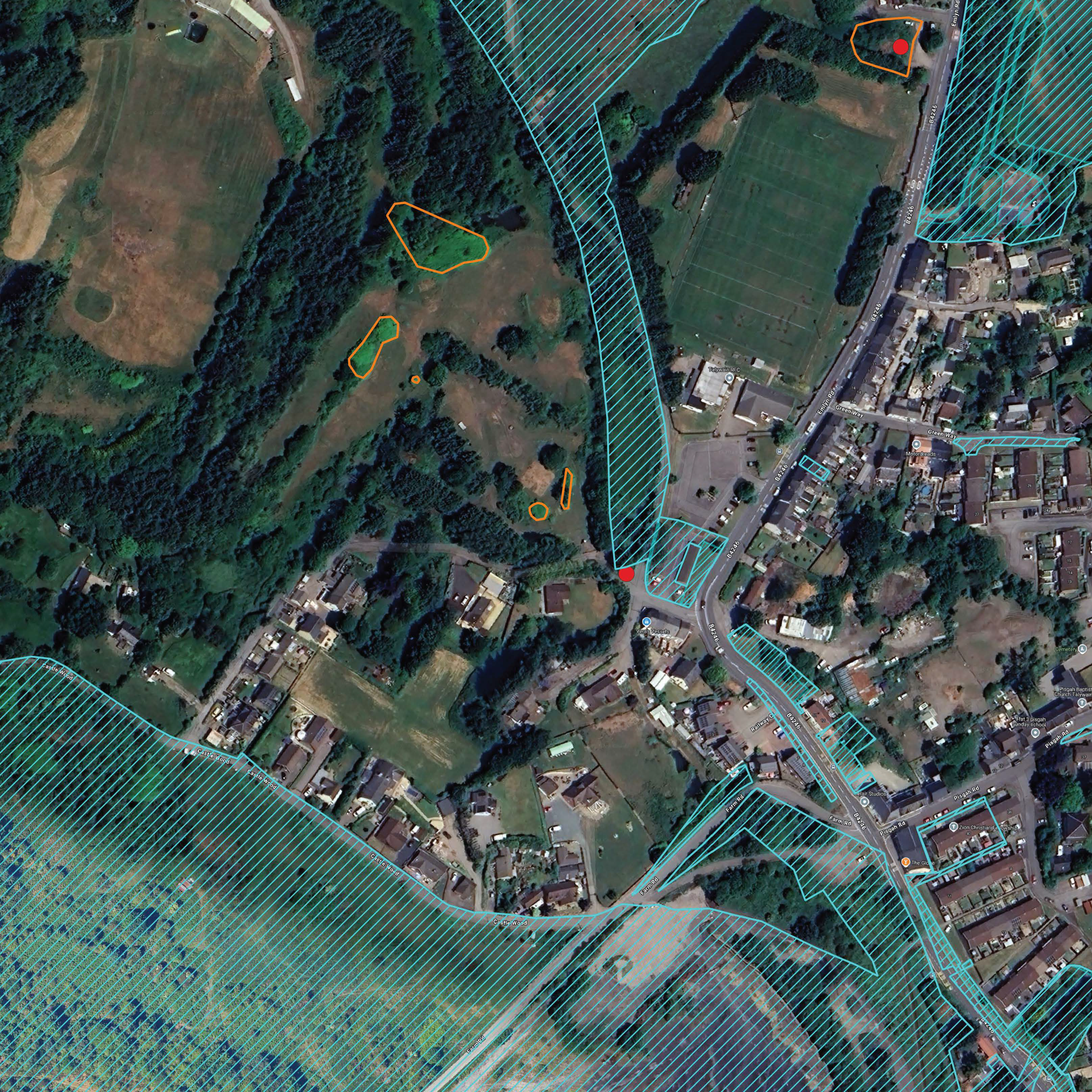 Torfaen Knotweed Gis Map